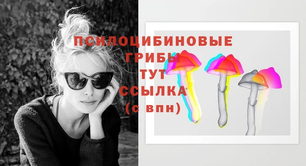 ГАЛЛЮЦИНОГЕННЫЕ ГРИБЫ Арсеньев