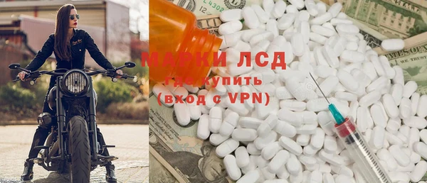 твердый Новодвинск