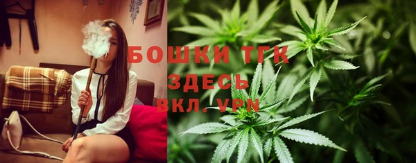 ГАЛЛЮЦИНОГЕННЫЕ ГРИБЫ Арсеньев