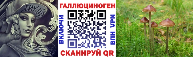 Псилоцибиновые грибы MAGIC MUSHROOMS  Урень 